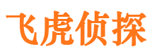 和平市侦探调查公司